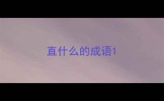 直什么的成语
