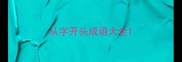从字开头成语大全