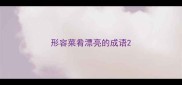 形容菜肴漂亮的成语