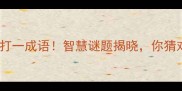 一蜘蛛网打一成语智慧谜题揭晓你猜对了吗