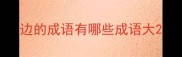 边的成语有哪些成语大