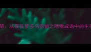 夜弥智慧从夜长梦多与弥留之际看成语中的生存哲学