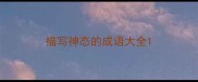 描写神态的成语大全