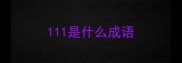 111是什么成语