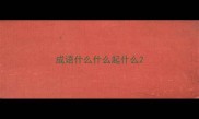 成语什么什么起什么