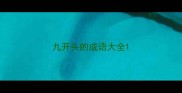 九开头的成语大全