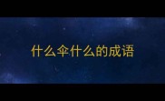 什么伞什么的成语