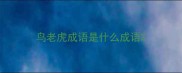 鸟老虎成语是什么成语