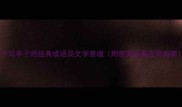 50个写亭子的经典成语及文学意境附旅游必看应用指南