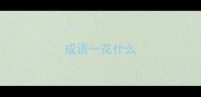 成语一花什么