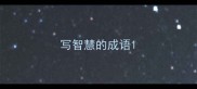 写智慧的成语