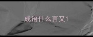 成语什么言又