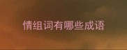 情组词有哪些成语