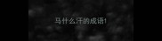 马什么汗的成语
