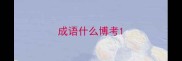 成语什么博考