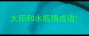 太阳和水瓶猜成语