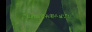 尸位的成语有哪些成语