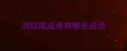 润结尾成语有哪些成语