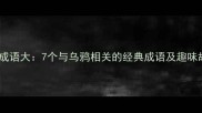 乌鸦成语大7个与乌鸦相关的经典成语及趣味故事