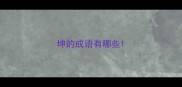 坤的成语有哪些