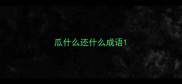 瓜什么还什么成语