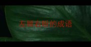 左顾右盼的成语
