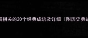 与猫相关的20个经典成语及详细附历史典故