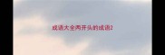 成语大全两开头的成语
