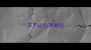 多字成语有哪些