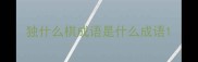 独什么棋成语是什么成语