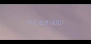 什么之外成语