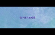 伍字开头的成语