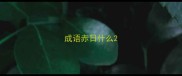 成语赤日什么
