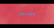 成语什么事非
