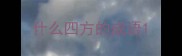 什么四方的成语