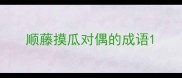 顺藤摸瓜对偶的成语