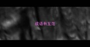 成语有互范