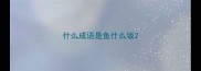 什么成语是鱼什么饭