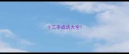 十三字成语大全