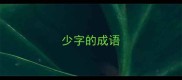 少字的成语