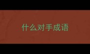 什么对手成语