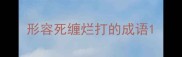 形容死缠烂打的成语
