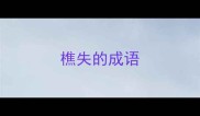 樵失的成语