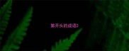 第开头的成语