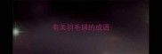 有关羽毛球的成语