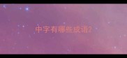 中字有哪些成语