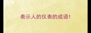表示人的仪表的成语