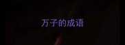 万子的成语