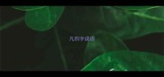 凡四字成语