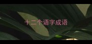十二个语字成语